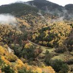 Day trip to France from Barcelona